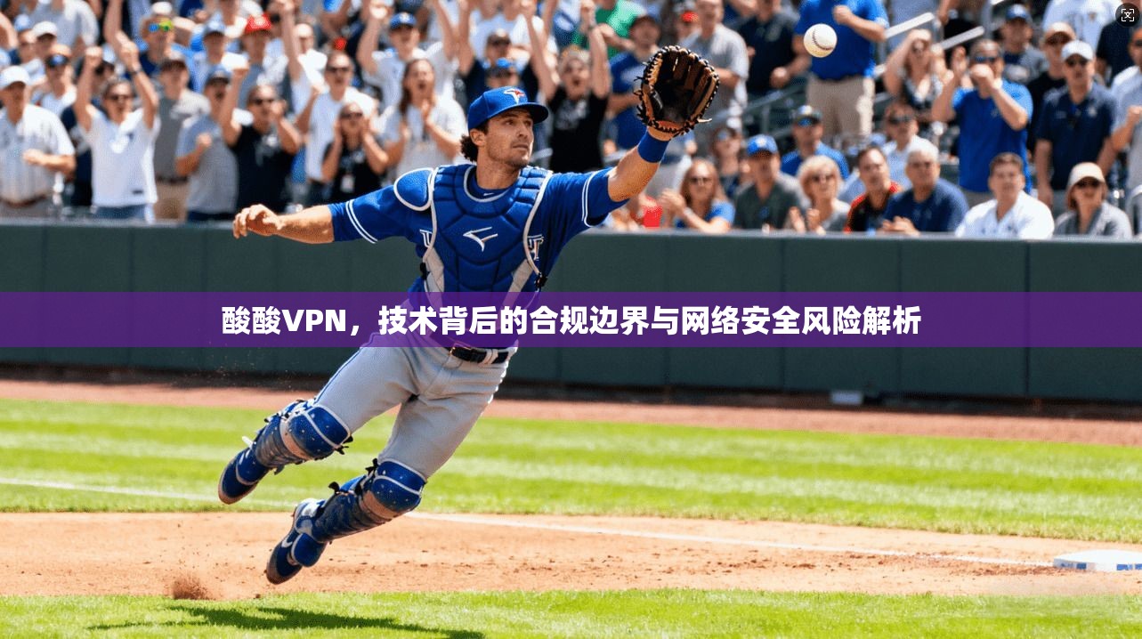 酸酸VPN，技术背后的合规边界与网络安全风险解析