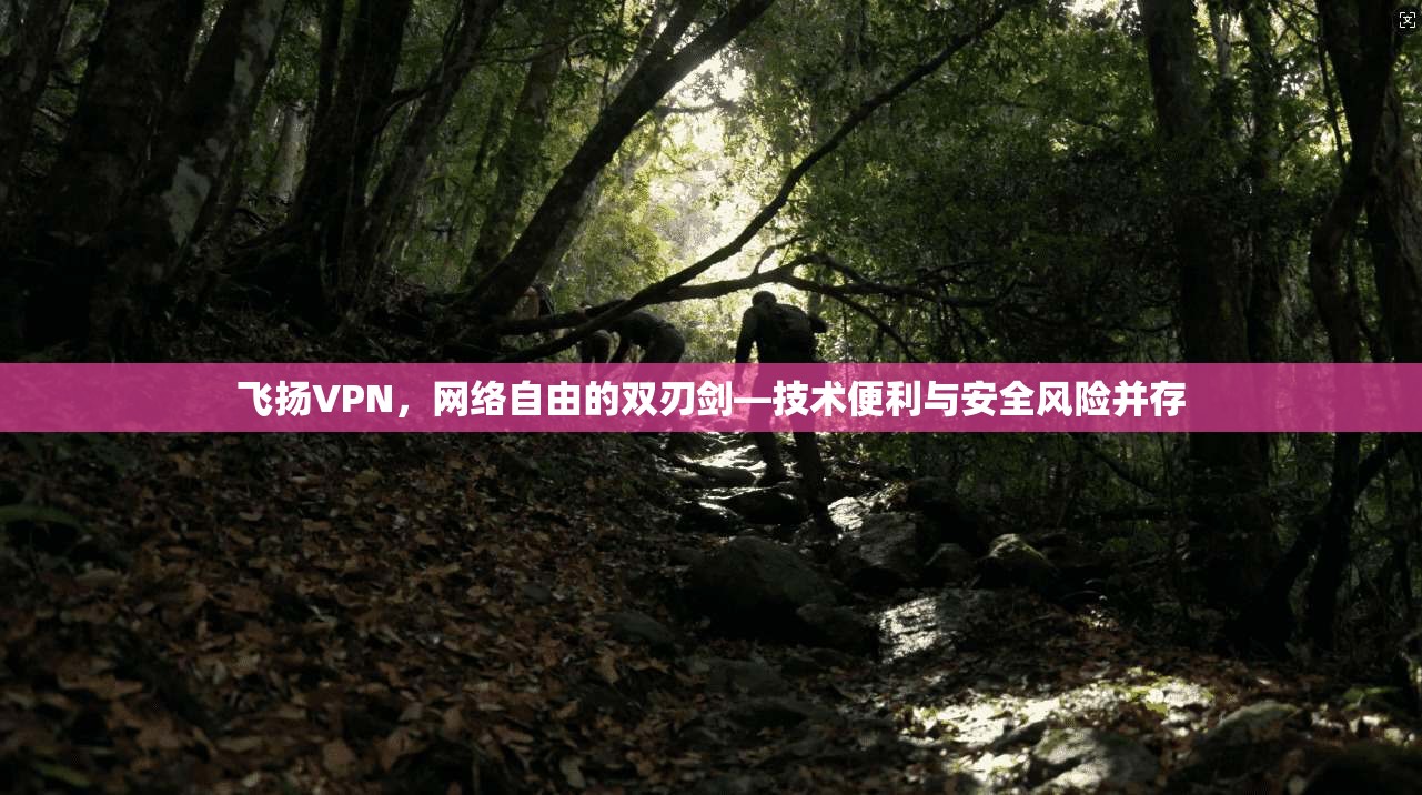 飞扬VPN，网络自由的双刃剑—技术便利与安全风险并存