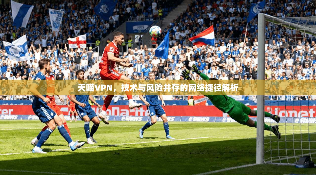 天喵VPN，技术与风险并存的网络捷径解析