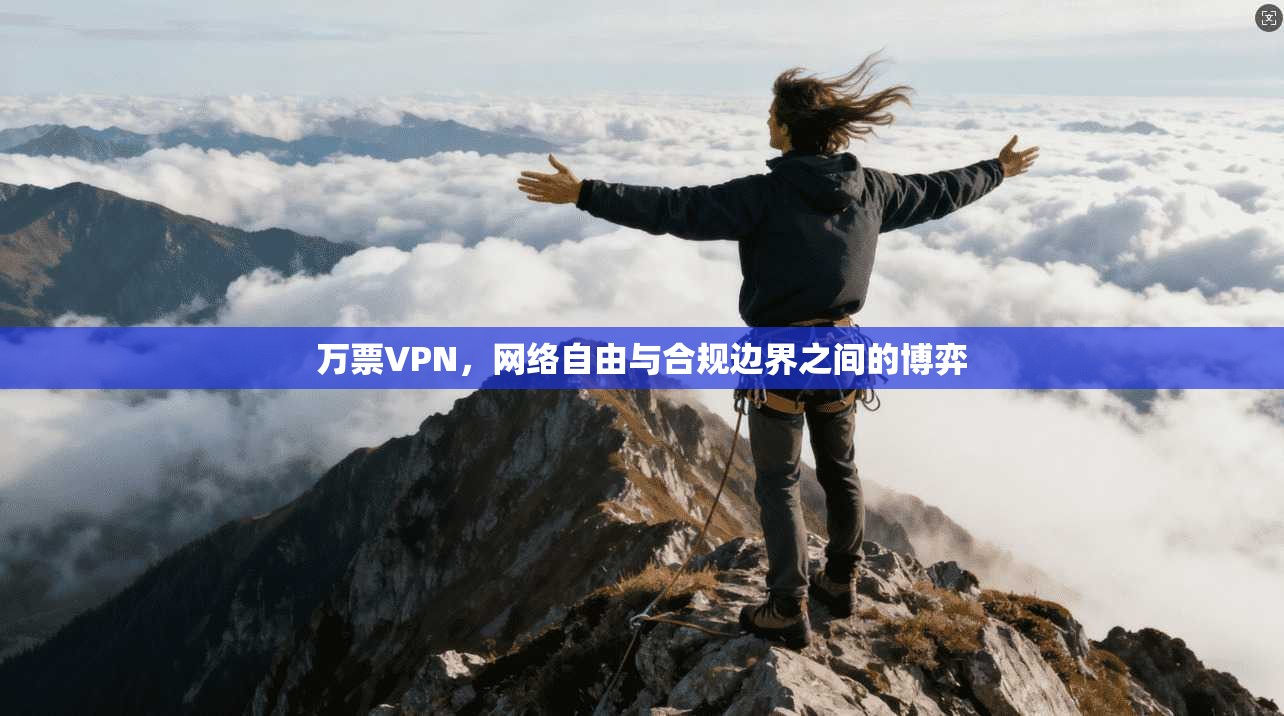 万票VPN，网络自由与合规边界之间的博弈