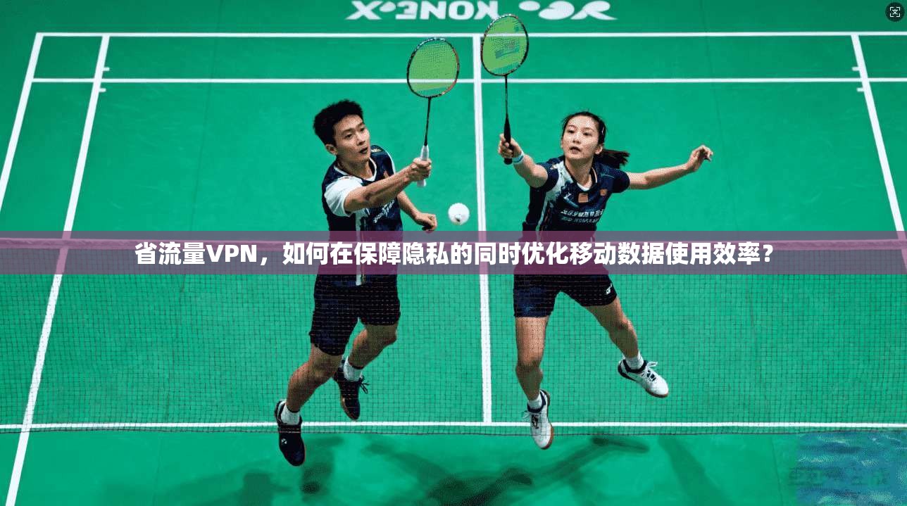 省流量VPN,如何在保障隐私的同时优化移动数据使用效率?