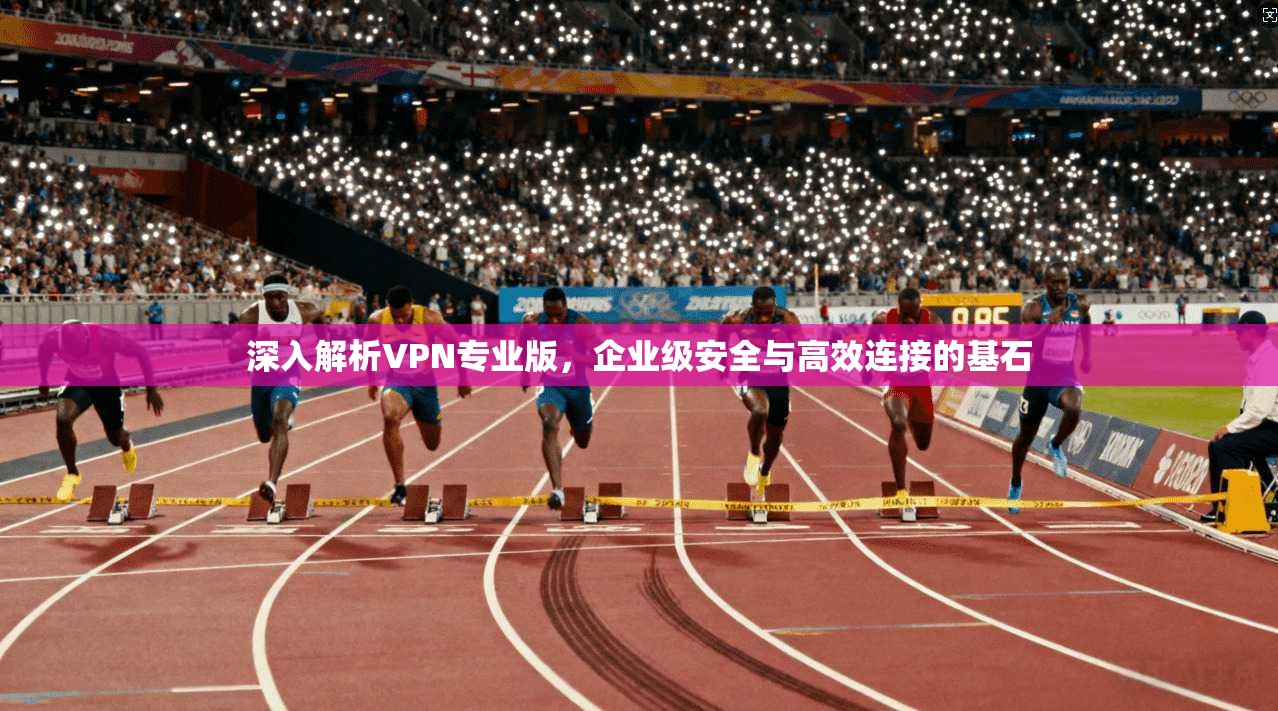 深入解析VPN专业版,企业级安全与高效连接的基石