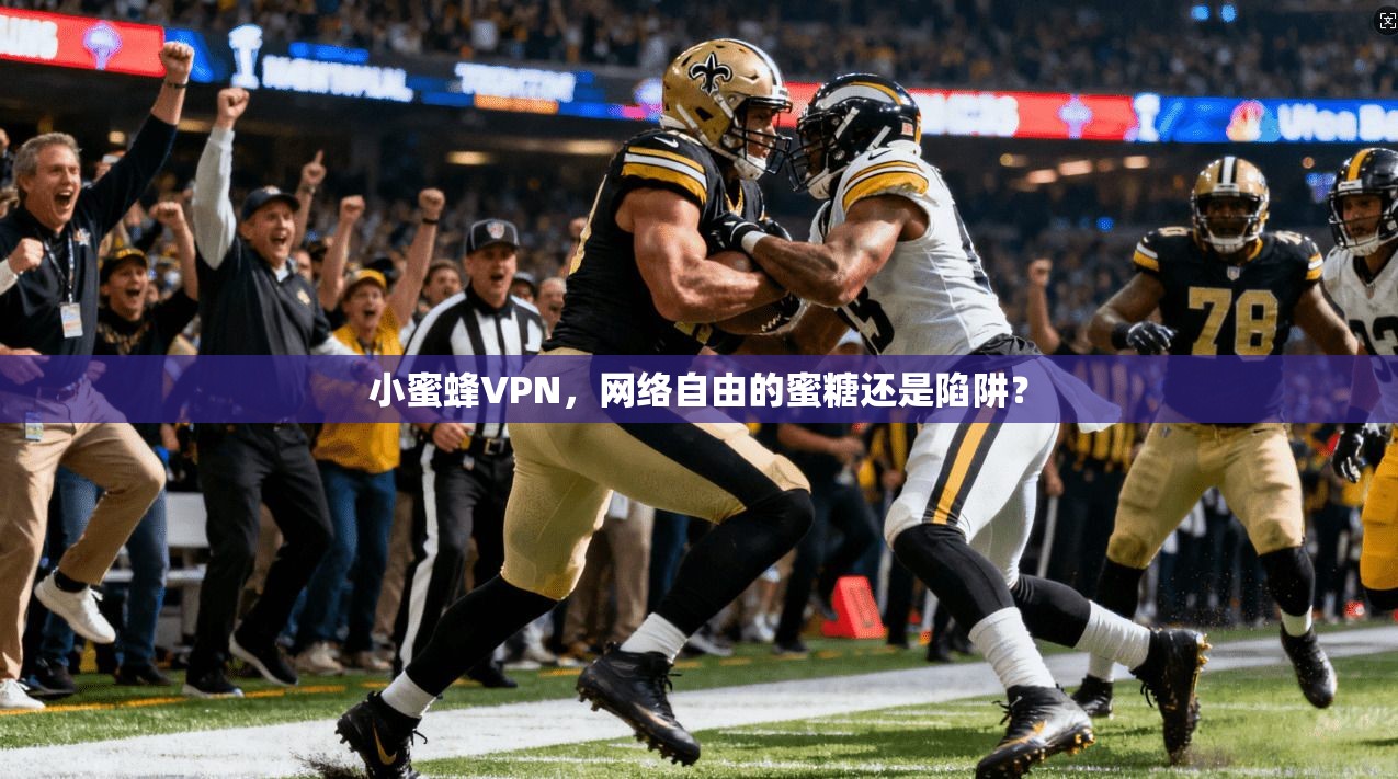 小蜜蜂VPN,网络自由的蜜糖还是陷阱?
