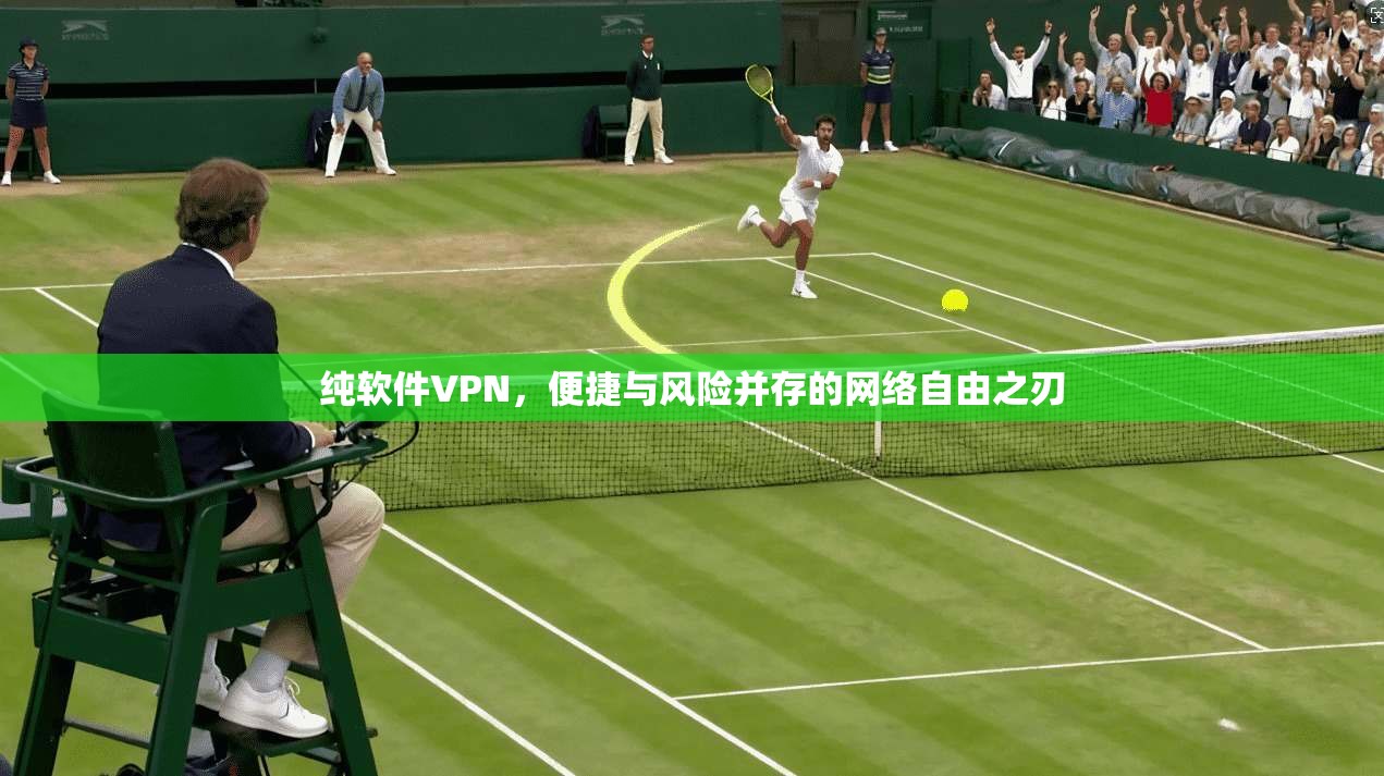 纯软件VPN，便捷与风险并存的网络自由之刃