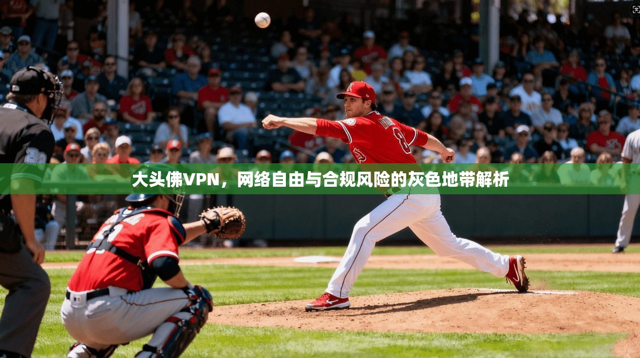 大头佛VPN,网络自由与合规风险的灰色地带解析 大头佛VPN,网络自由与合规风险的灰色地带解析