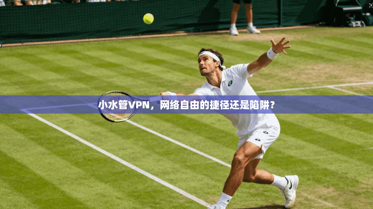 小水管VPN，网络自由的捷径还是陷阱？
