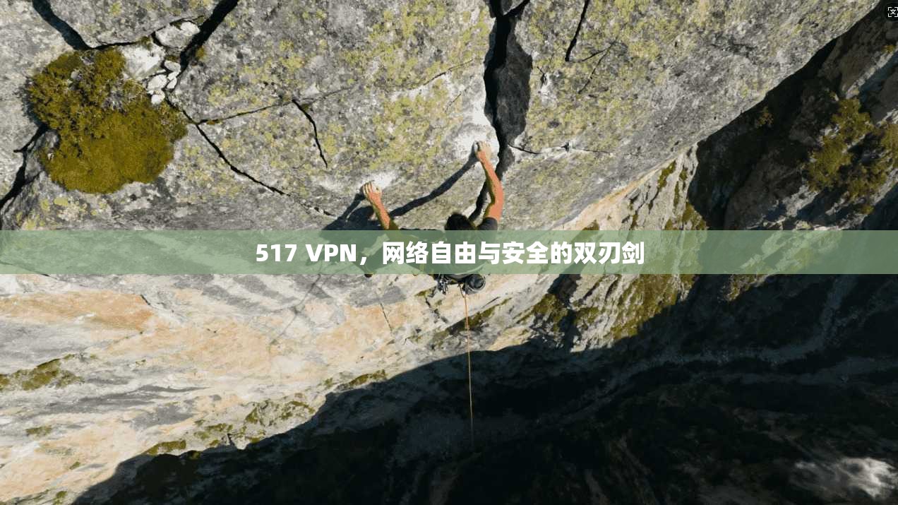 517 VPN，网络自由与安全的双刃剑