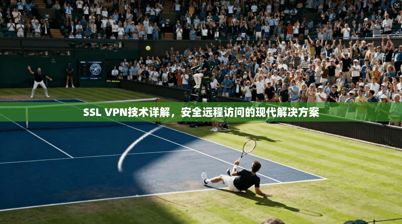 SSL VPN技术详解，安全远程访问的现代解决方案