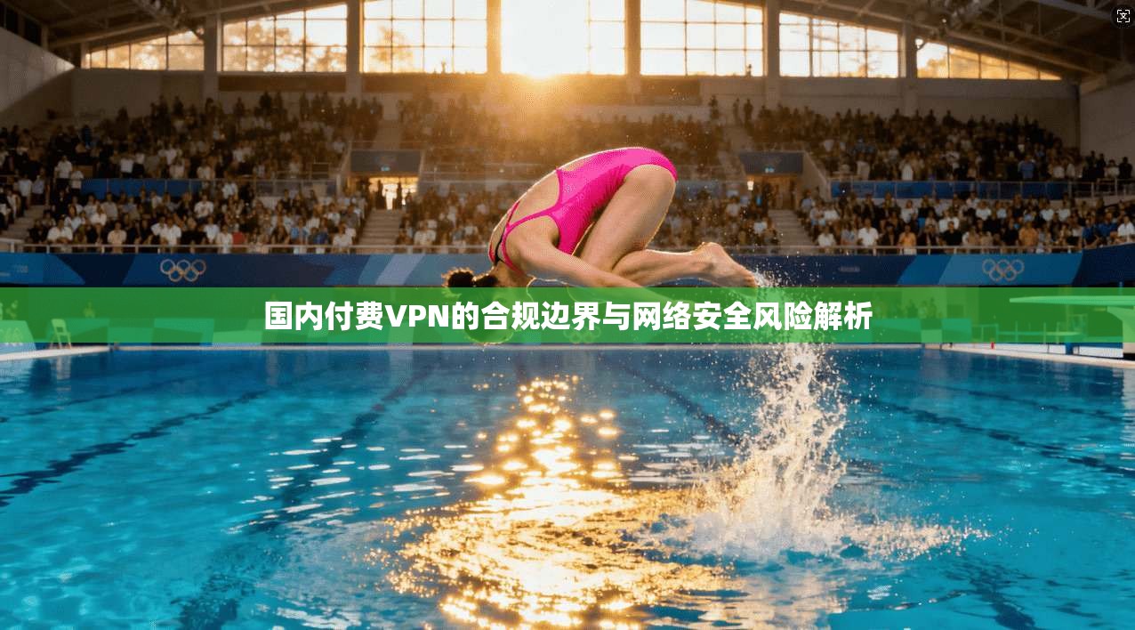 国内付费VPN的合规边界与网络安全风险解析