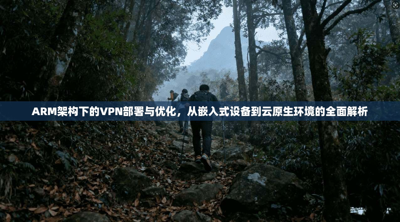 ARM架构下的VPN部署与优化,从嵌入式设备到云原生环境的全面解析 ARM架构下的VPN部署与优化,从嵌入式设备到云原生环境的全面解析
