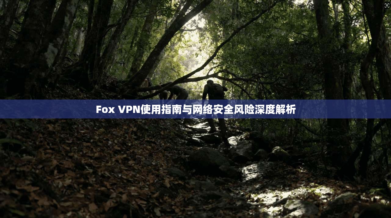 Fox VPN使用指南与网络安全风险深度解析