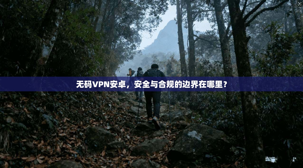 无码VPN安卓，安全与合规的边界在哪里？