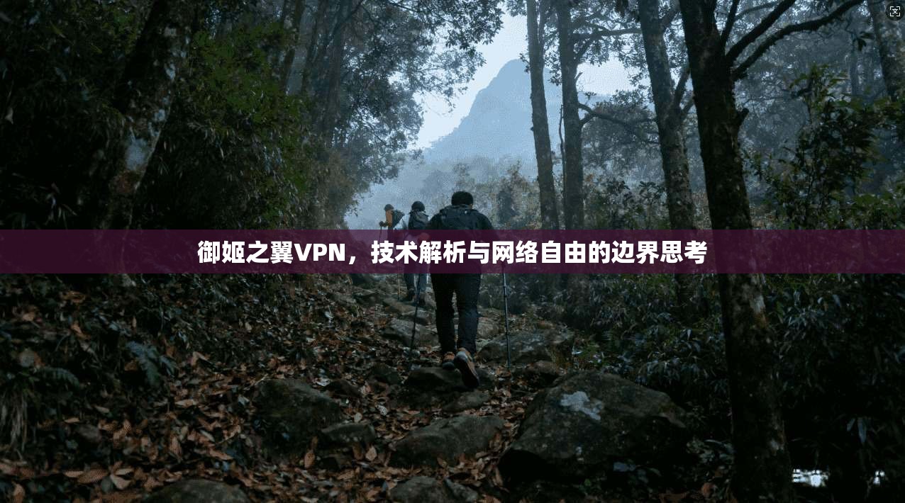 御姬之翼VPN,技术解析与网络自由的边界思考