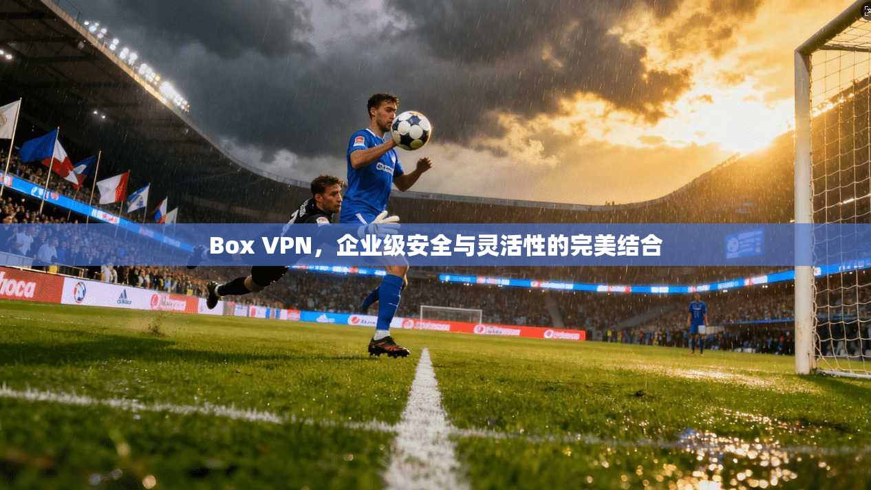 Box VPN，企业级安全与灵活性的完美结合