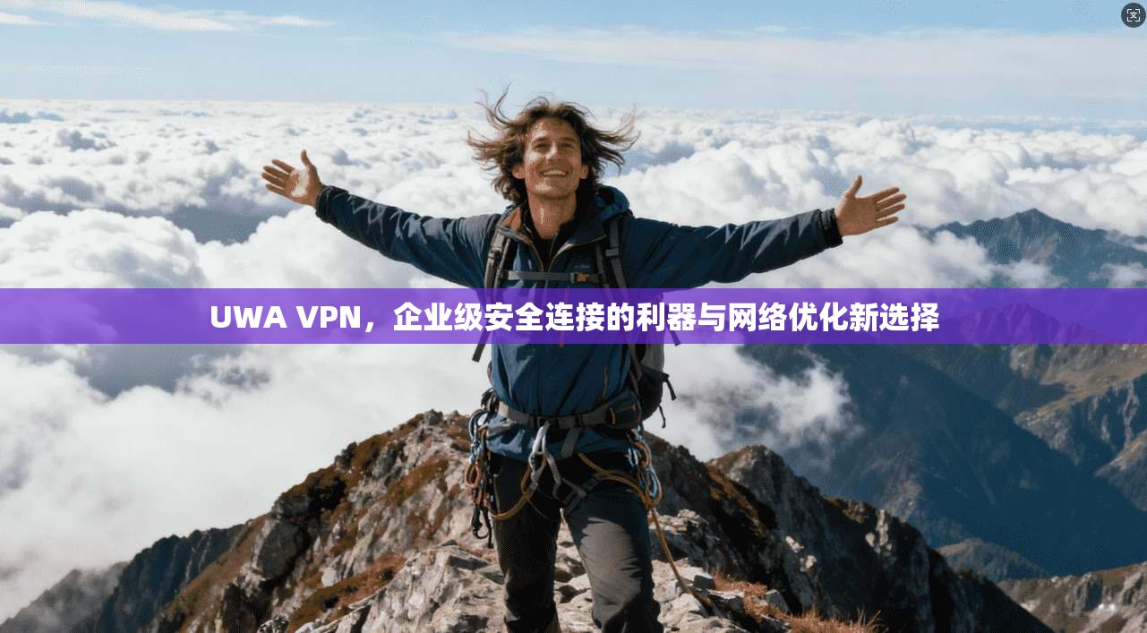 UWA VPN，企业级安全连接的利器与网络优化新选择