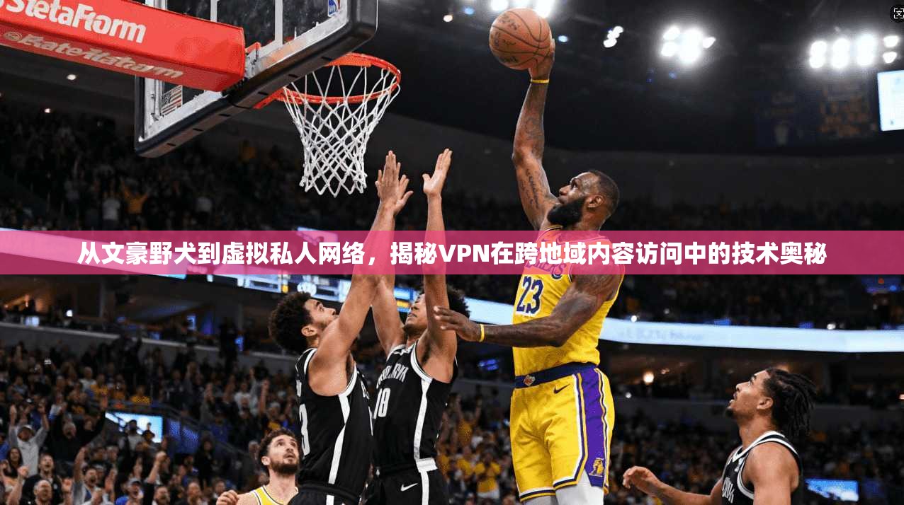 从文豪野犬到虚拟私人网络，揭秘VPN在跨地域内容访问中的技术奥秘