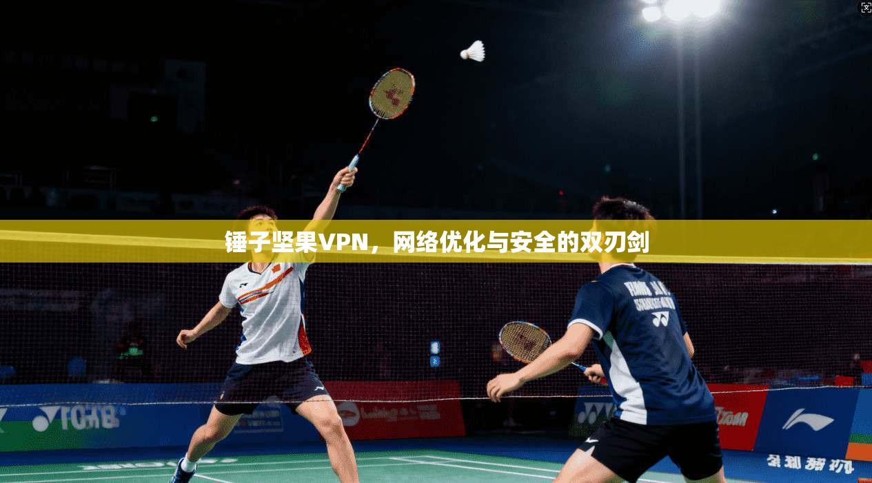 锤子坚果VPN，网络优化与安全的双刃剑