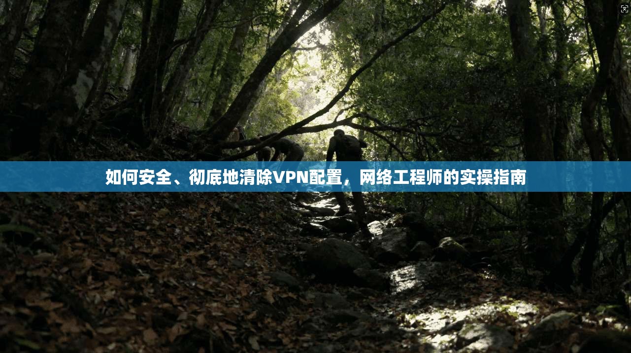 如何安全、彻底地清除VPN配置，网络工程师的实操指南