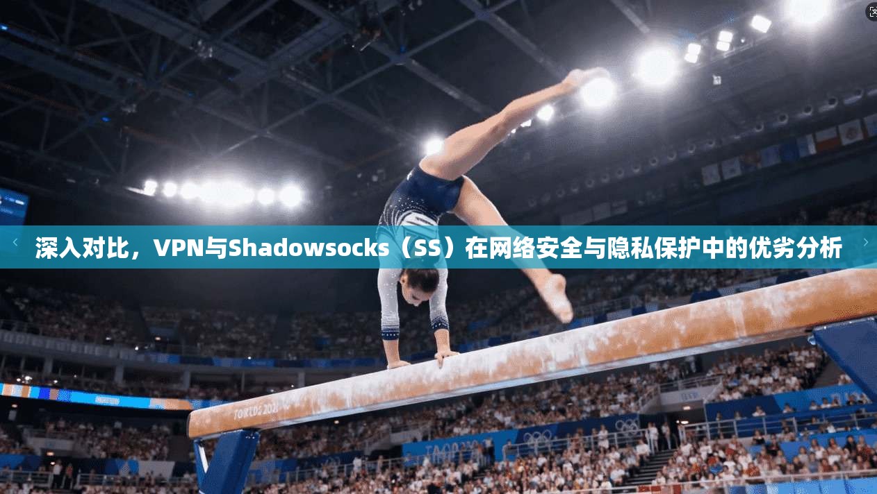 深入对比，VPN与Shadowsocks（SS）在网络安全与隐私保护中的优劣分析