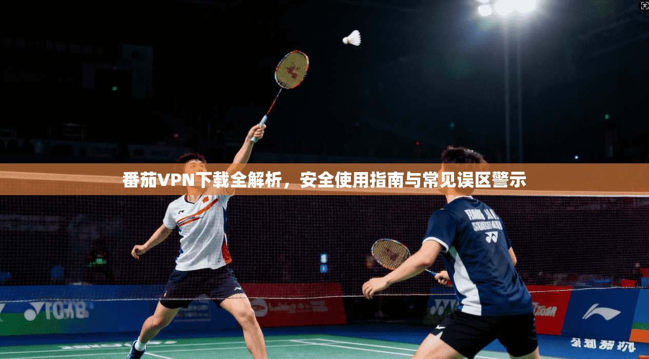 番茄VPN下载全解析，安全使用指南与常见误区警示