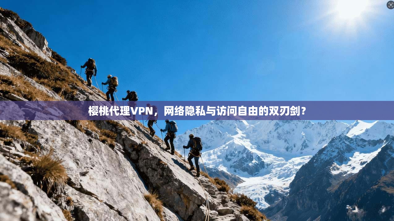 樱桃代理VPN，网络隐私与访问自由的双刃剑？