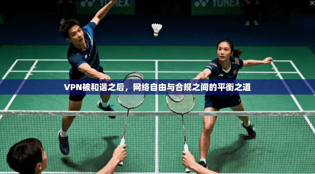 VPN被和谐之后，网络自由与合规之间的平衡之道