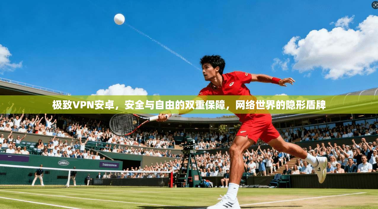 极致VPN安卓，安全与自由的双重保障，网络世界的隐形盾牌