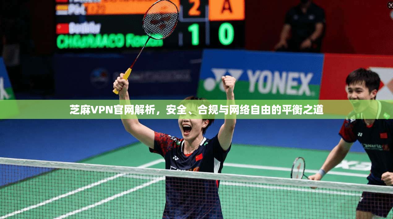 芝麻VPN官网解析，安全、合规与网络自由的平衡之道