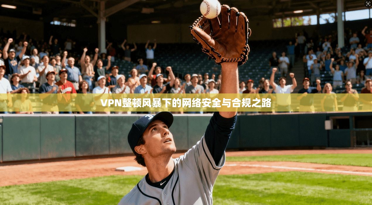 VPN整顿风暴下的网络安全与合规之路