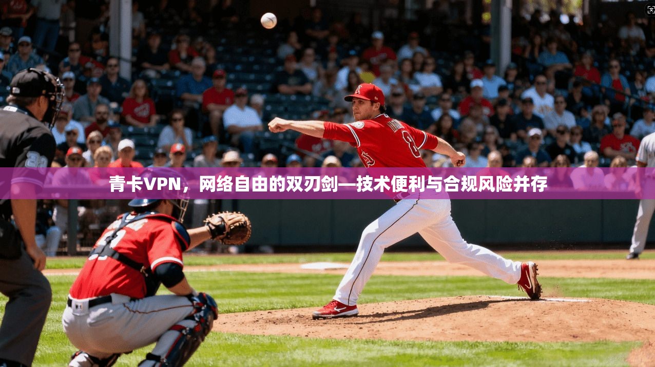 青卡VPN，网络自由的双刃剑—技术便利与合规风险并存