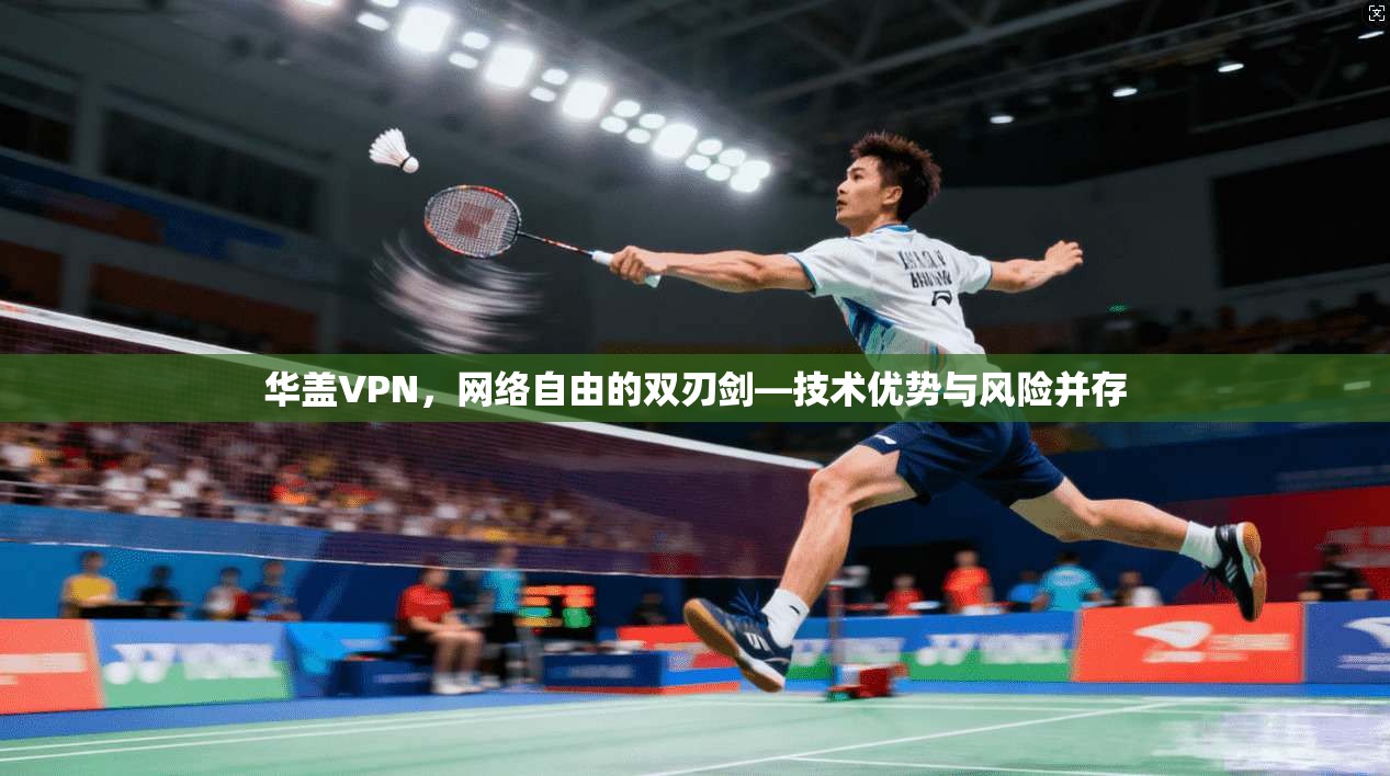 华盖VPN，网络自由的双刃剑—技术优势与风险并存