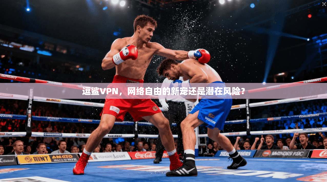 逗鲨VPN，网络自由的新宠还是潜在风险？