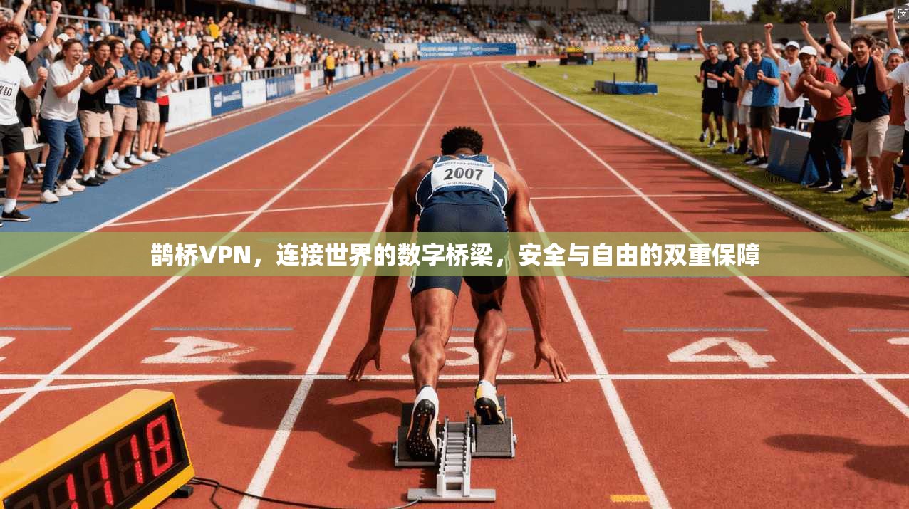 鹊桥VPN，连接世界的数字桥梁，安全与自由的双重保障