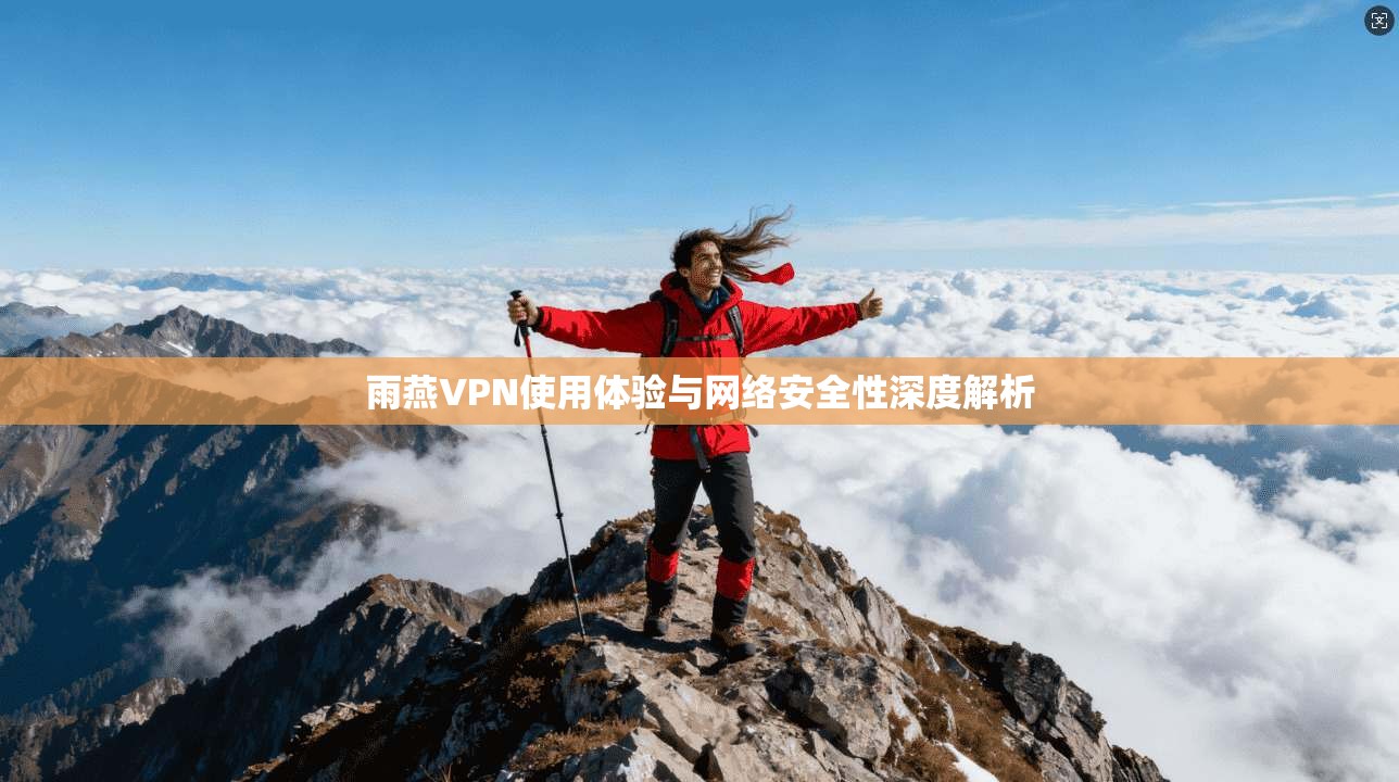 雨燕VPN使用体验与网络安全性深度解析