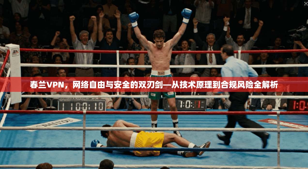 春兰VPN，网络自由与安全的双刃剑—从技术原理到合规风险全解析