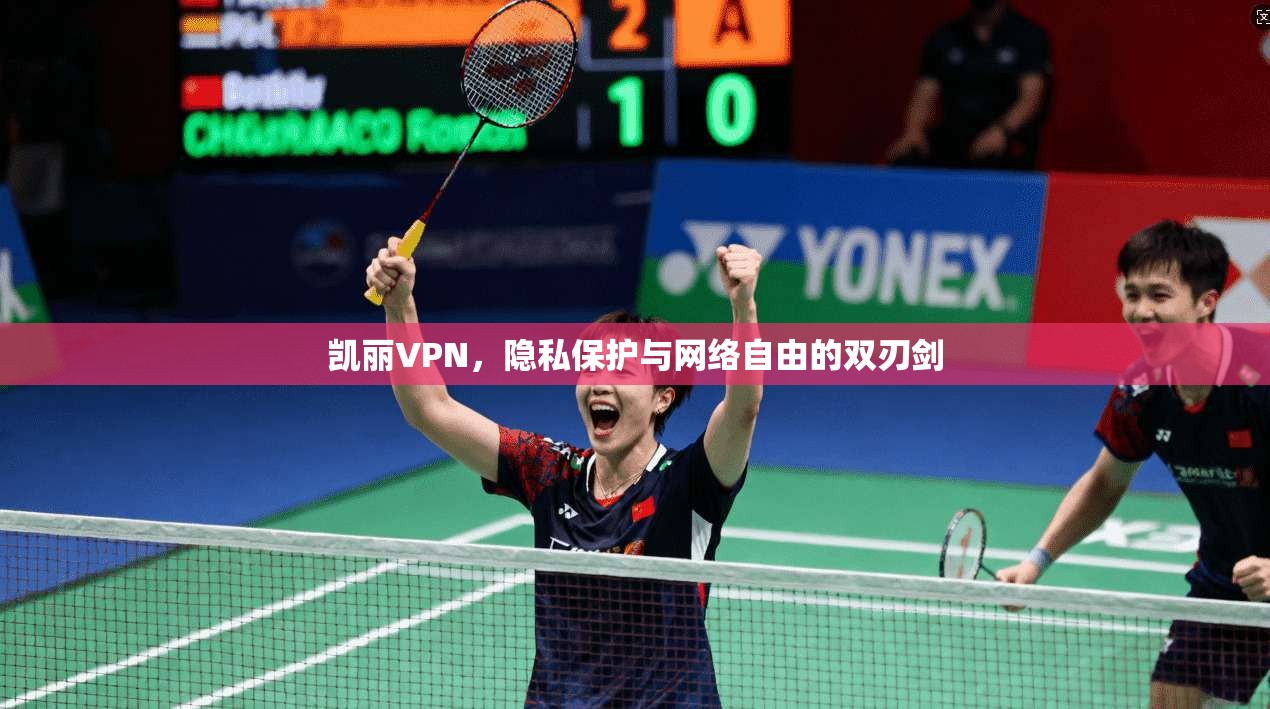 凯丽VPN，隐私保护与网络自由的双刃剑