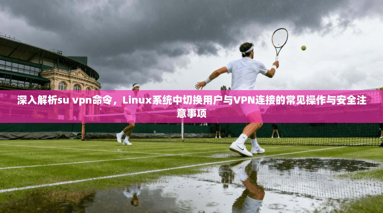 深入解析su vpn命令，Linux系统中切换用户与VPN连接的常见操作与安全注意事项