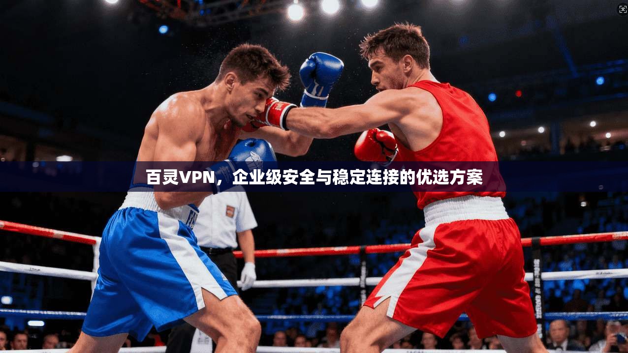 百灵VPN，企业级安全与稳定连接的优选方案
