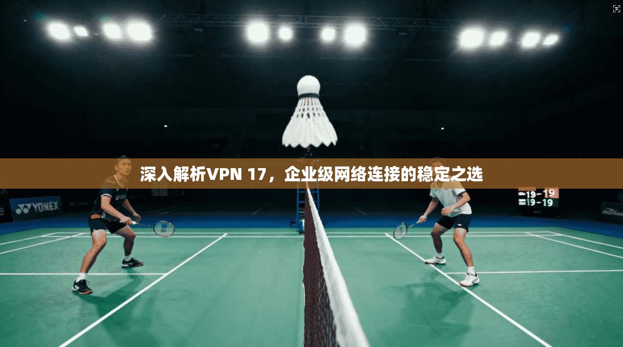 深入解析VPN 17，企业级网络连接的稳定之选