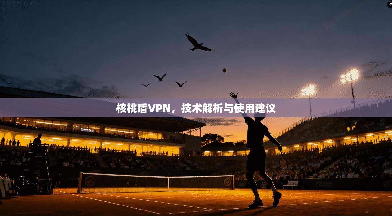 核桃盾VPN，技术解析与使用建议