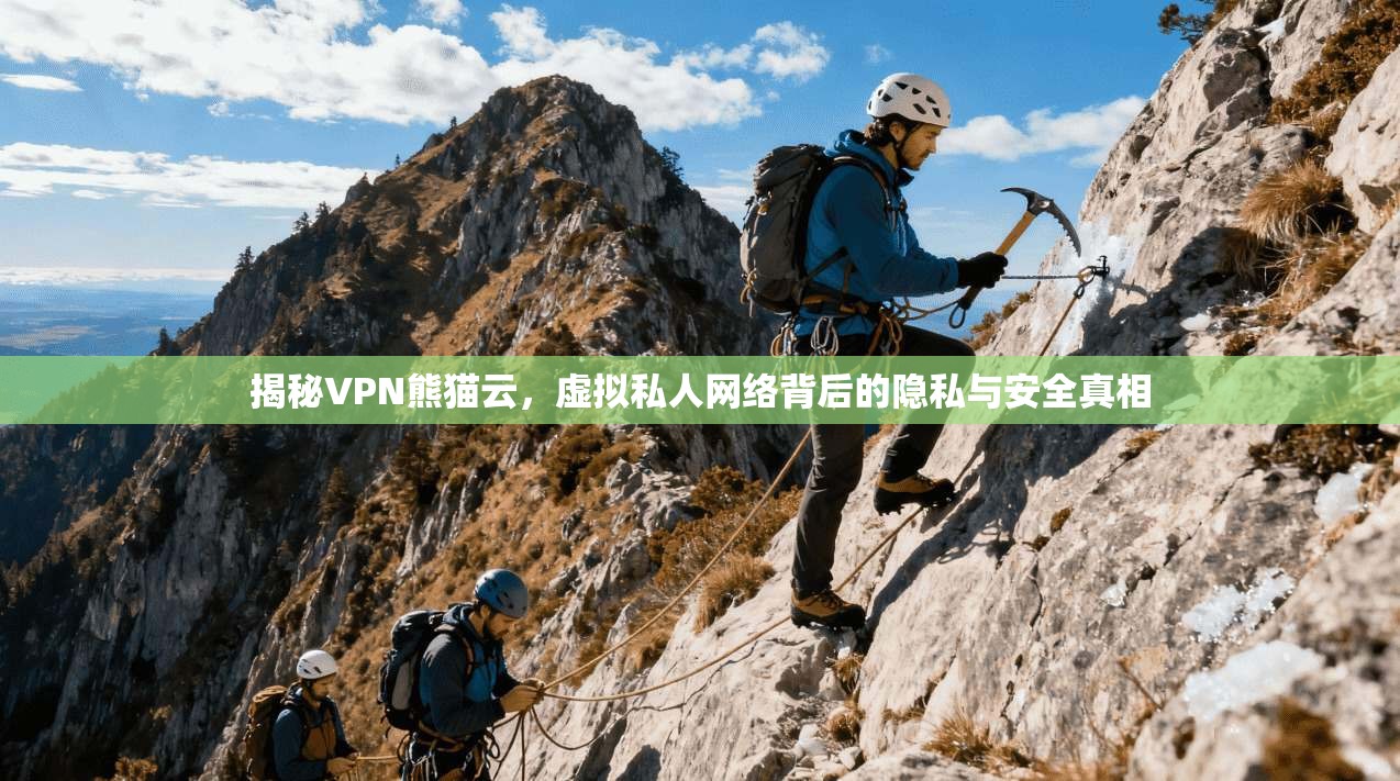 揭秘VPN熊猫云，虚拟私人网络背后的隐私与安全真相