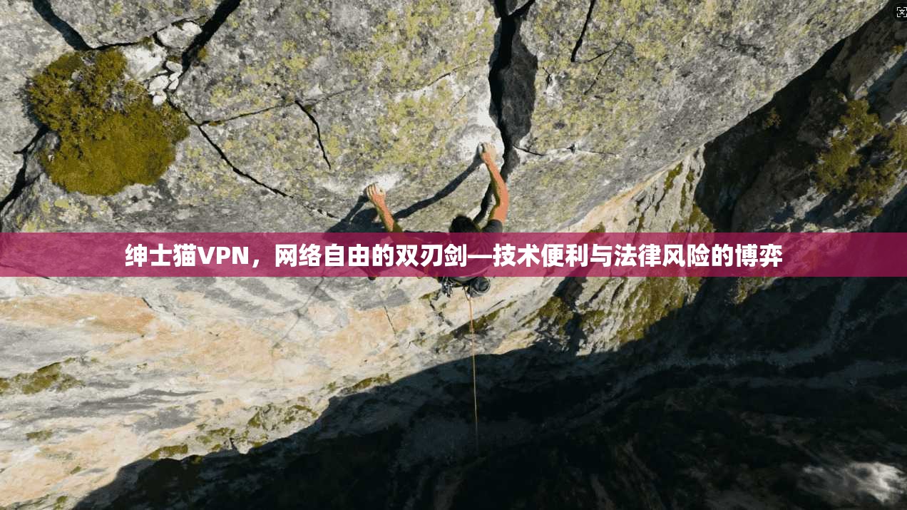 绅士猫VPN，网络自由的双刃剑—技术便利与法律风险的博弈