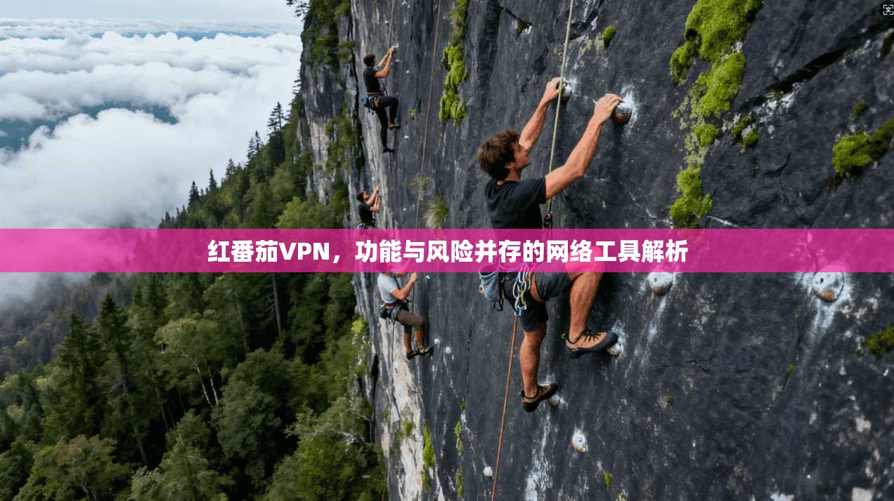 红番茄VPN，功能与风险并存的网络工具解析