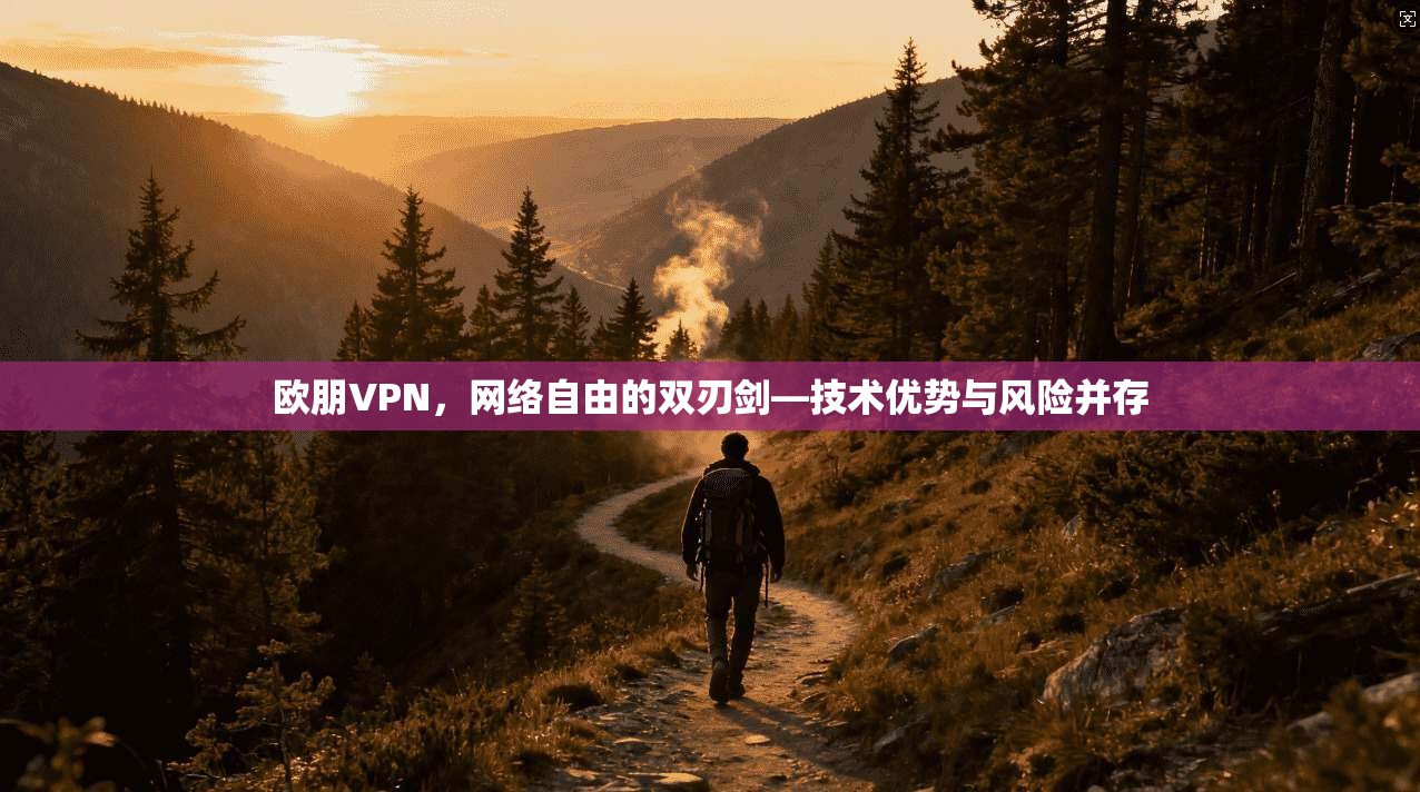 欧朋VPN，网络自由的双刃剑—技术优势与风险并存