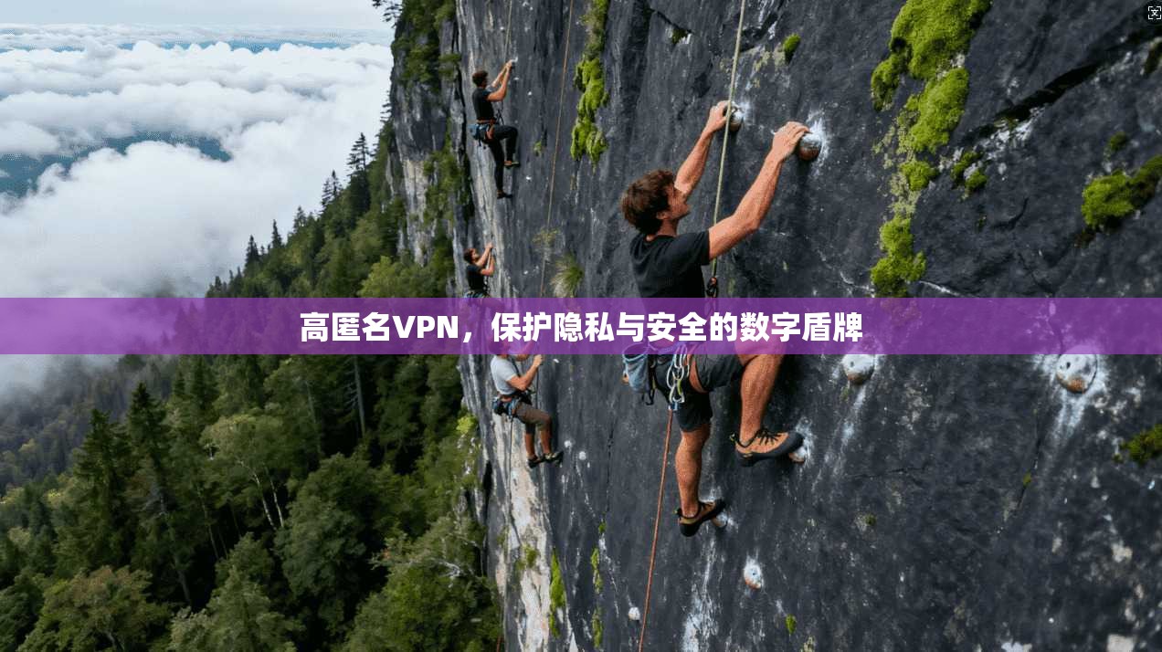 高匿名VPN，保护隐私与安全的数字盾牌