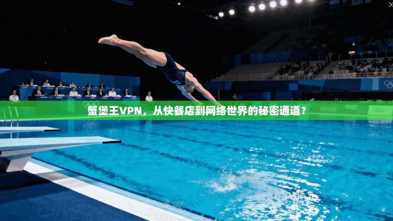 蟹堡王VPN，从快餐店到网络世界的秘密通道？