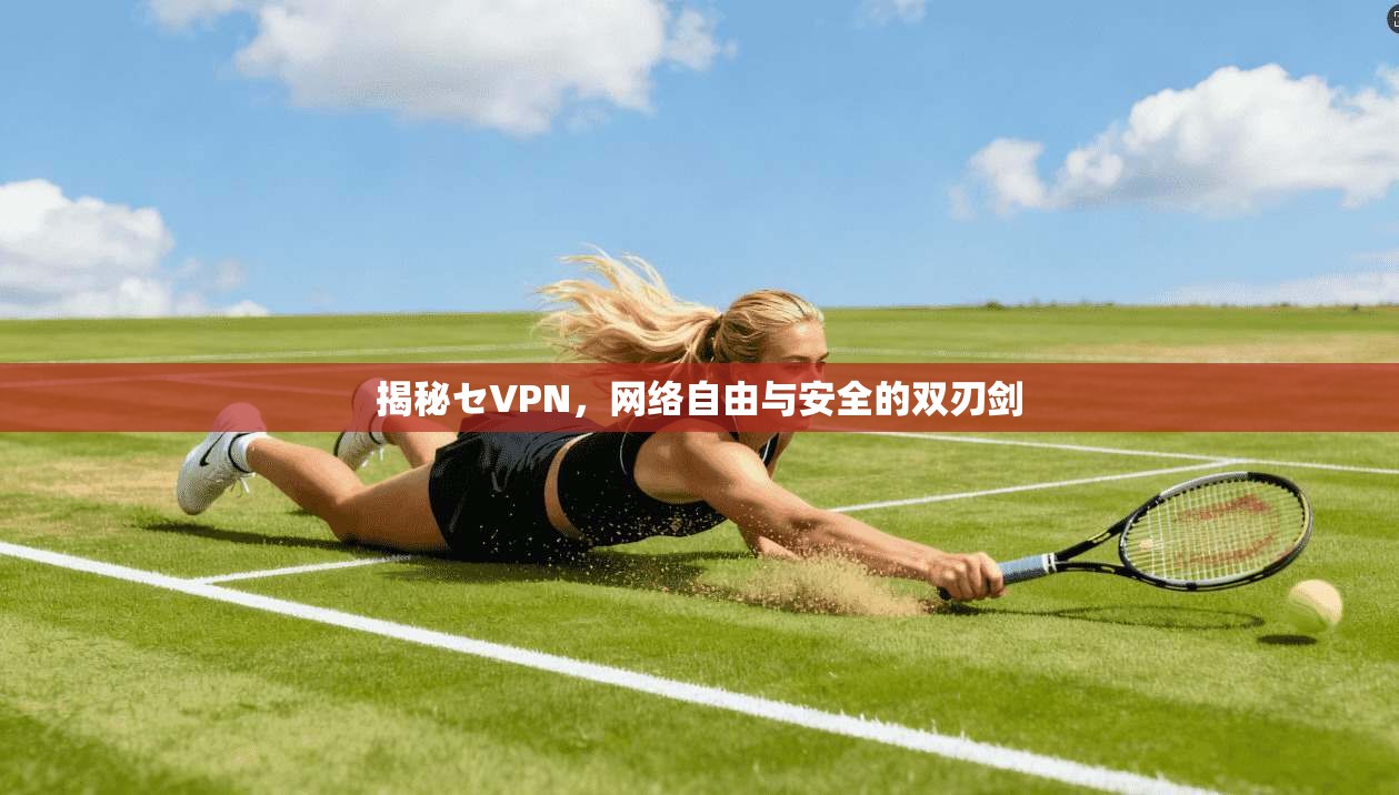 揭秘セVPN，网络自由与安全的双刃剑