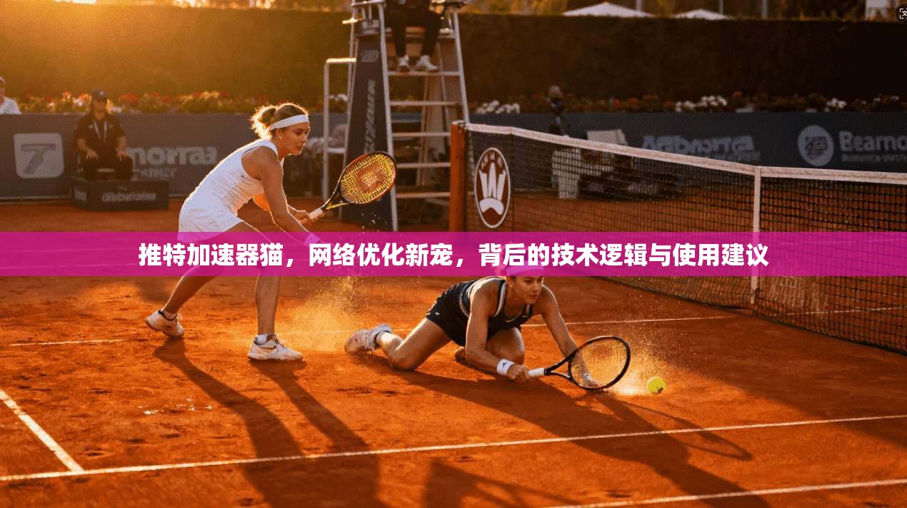 推特加速器猫，网络优化新宠，背后的技术逻辑与使用建议
