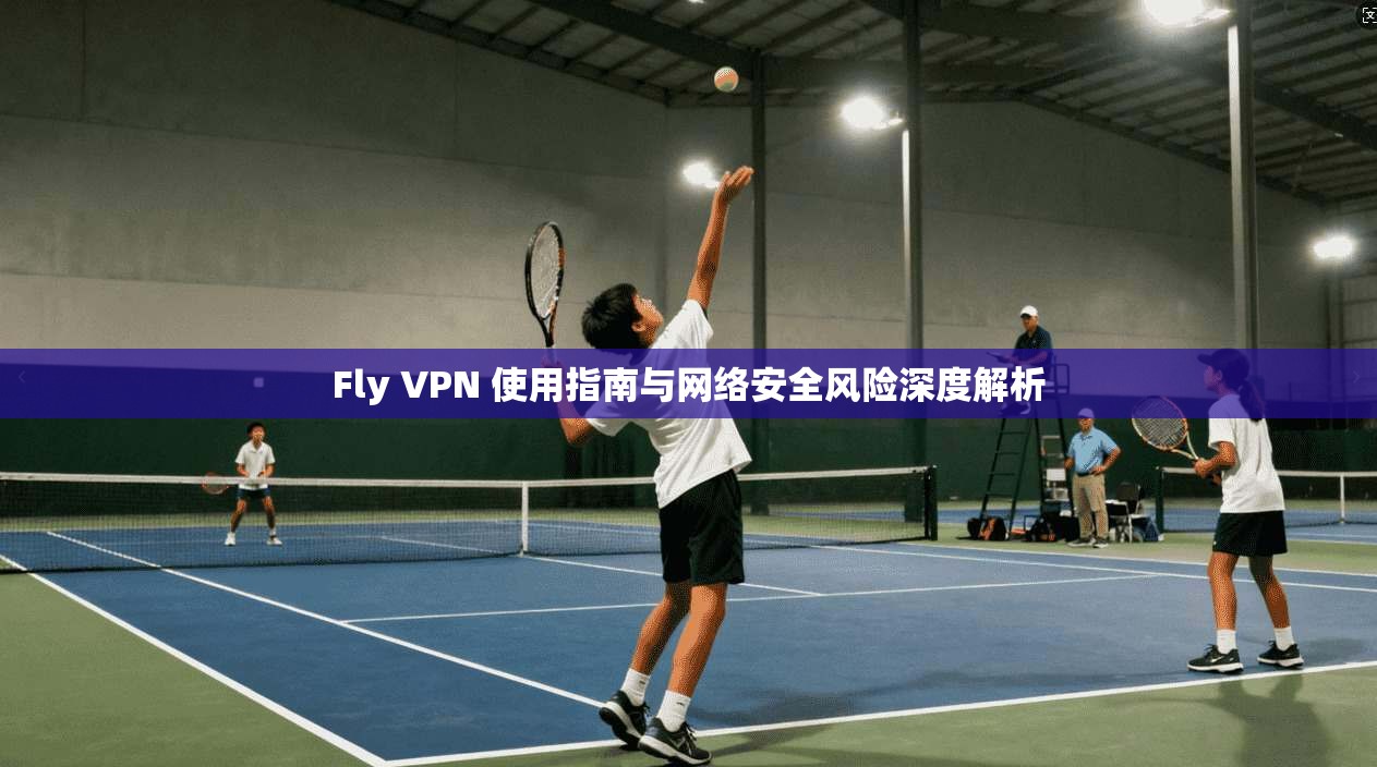 Fly VPN 使用指南与网络安全风险深度解析