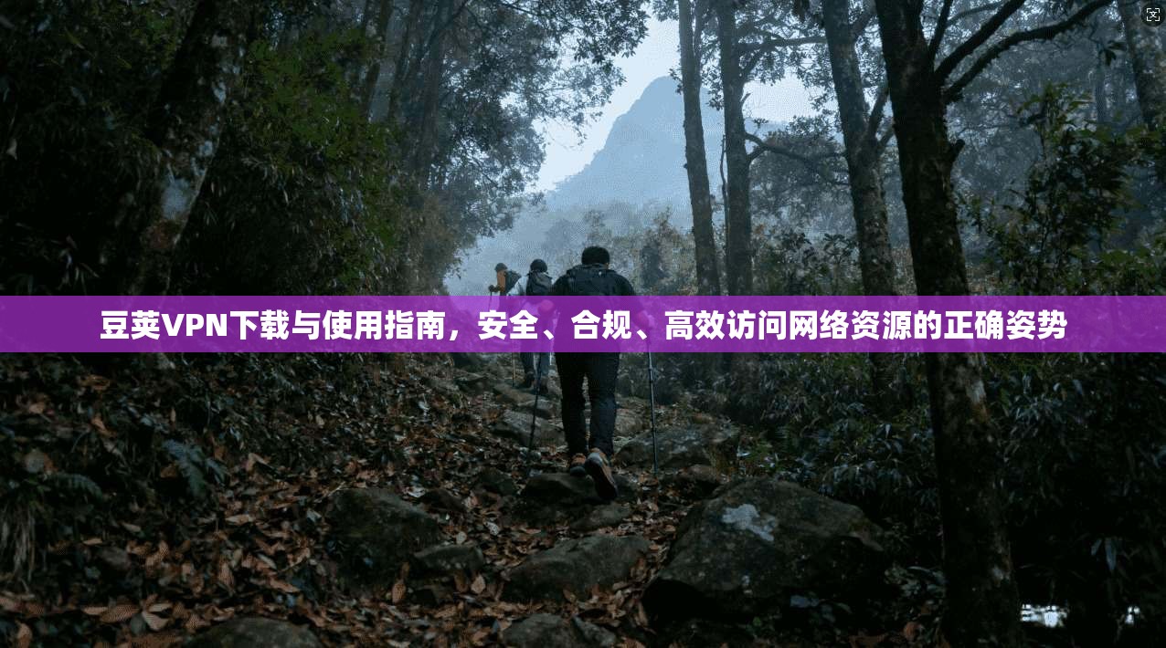 豆荚VPN下载与使用指南，安全、合规、高效访问网络资源的正确姿势